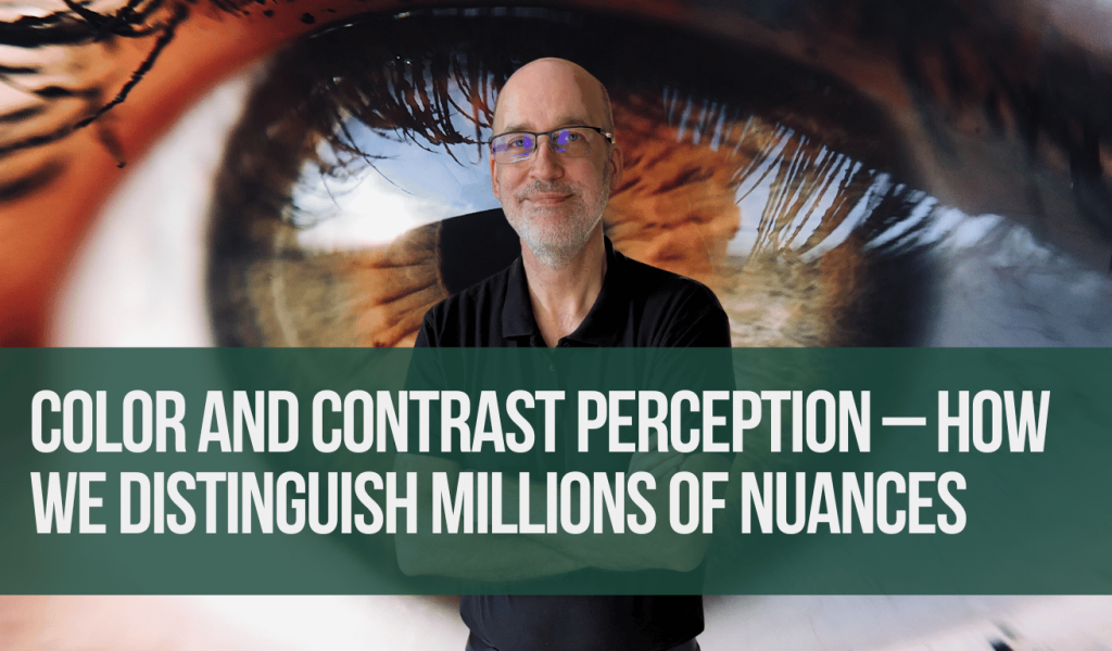 Color and Contrast Perception – How We Distinguish Millions of Nuances - Eyroq